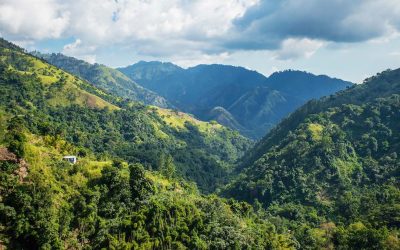 What to see in Jamaica