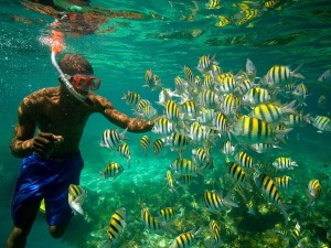 Snorkling in Jamaica