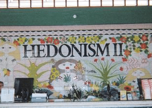 Hedonism 11