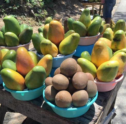 Top 5 Exotic Fruits of Jamaica