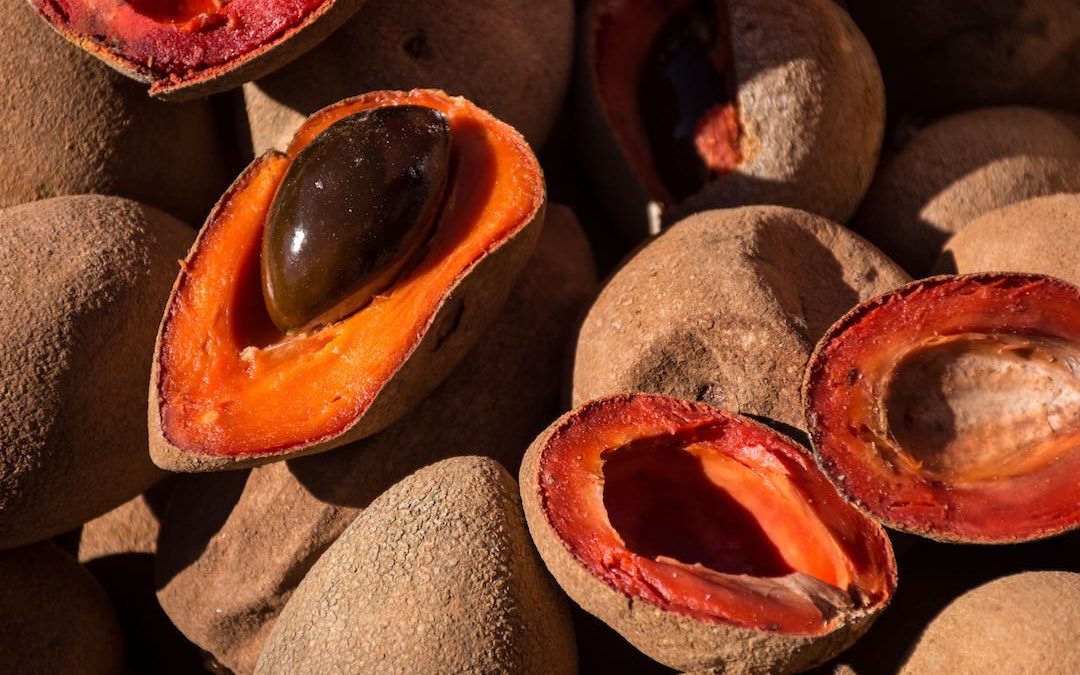 Discover The Mamey Fruit and it’s Secret.