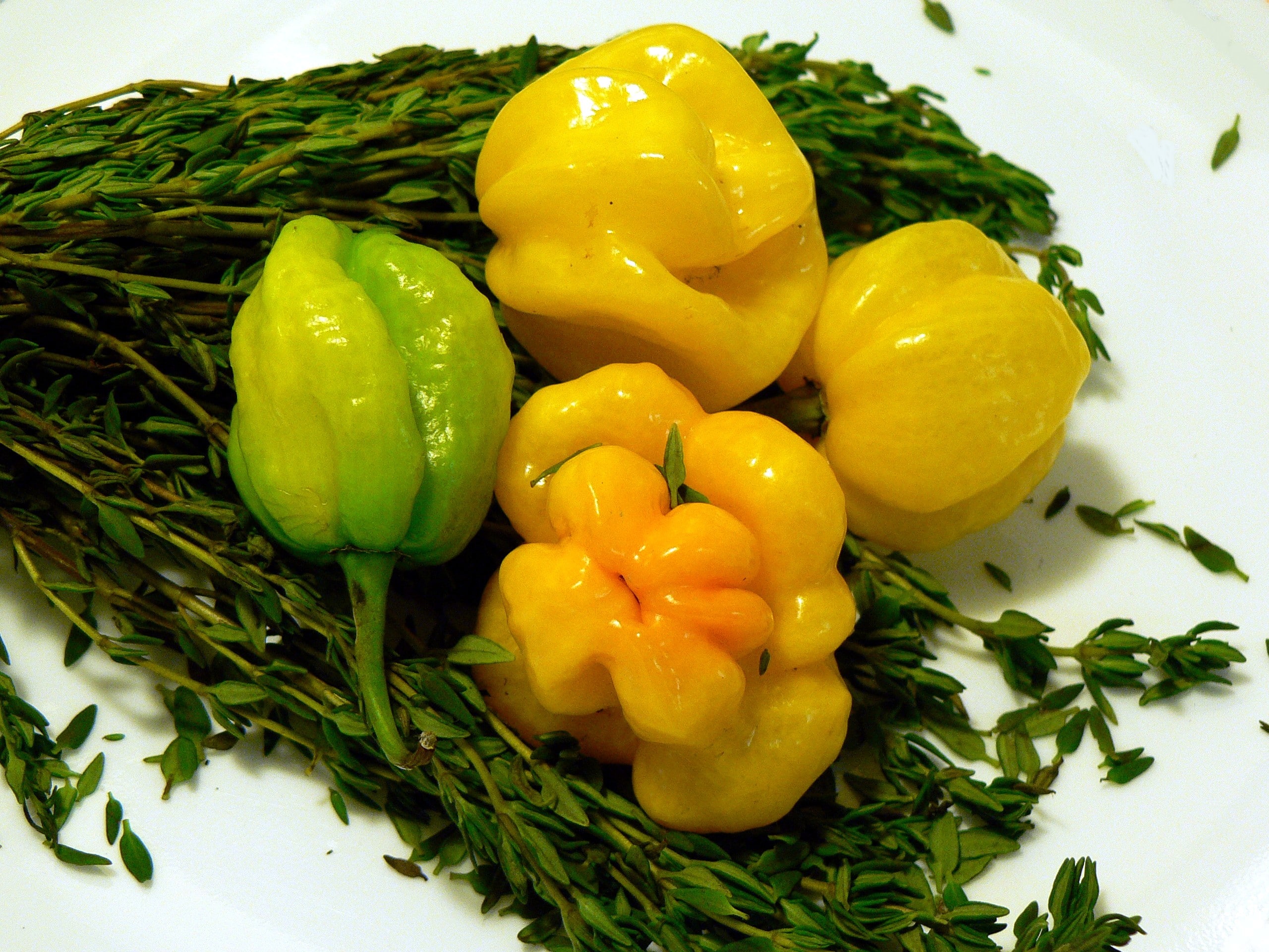 Why Scotch Bonnet Peppers are in such high Demand