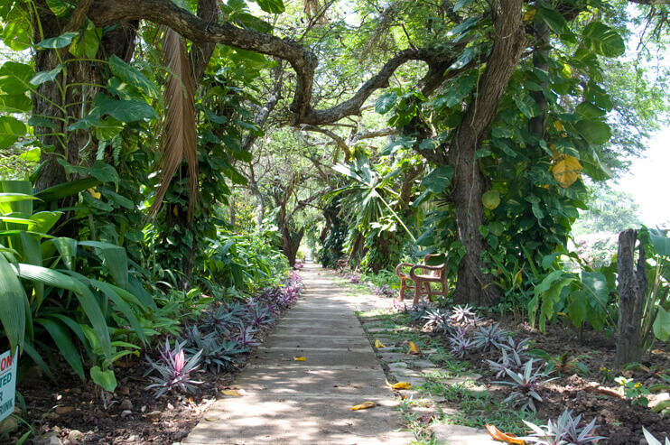 Hope Botanical Gardens, Kingston, Jamaica