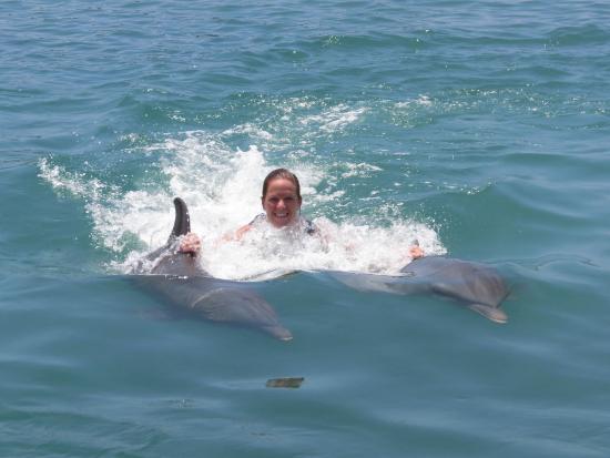 Dolphin Cove, Lucea, Jamaica