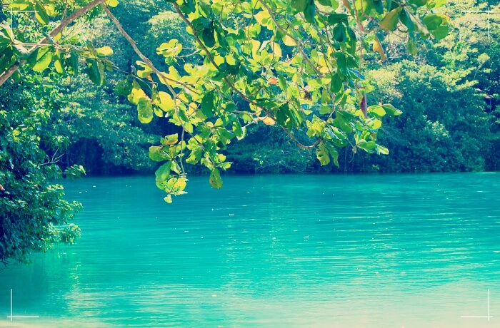 blue lagoon in jamaica