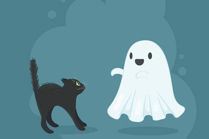 drawing of a ghost and a black cat