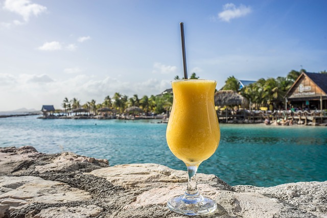 a lovely glass of jamaican rum blended drink, sitting on the rocks overlooking a gorgeous island view