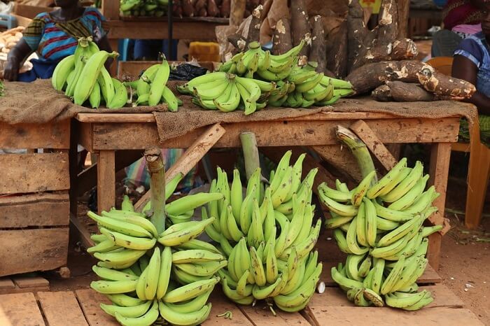 green plantains