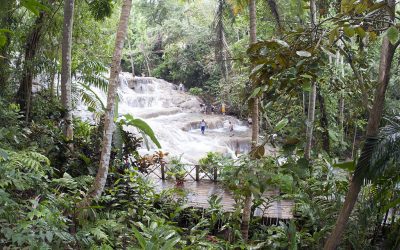 Things to Do in Dunn’s River Falls Jamaica