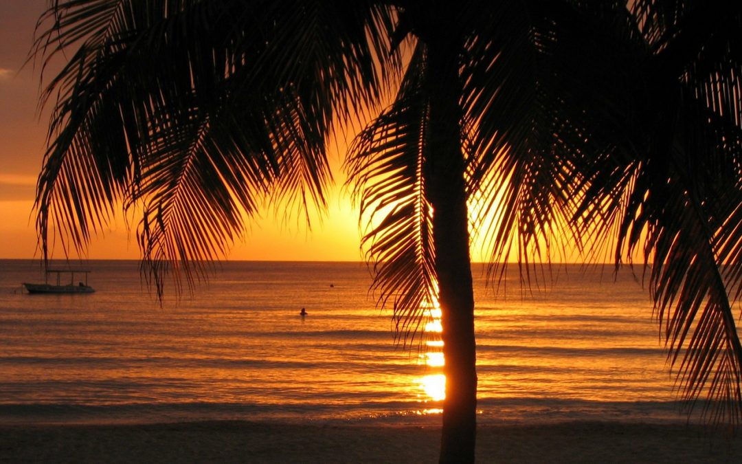 Couples Swept Away: Action and Romance in Jamaica