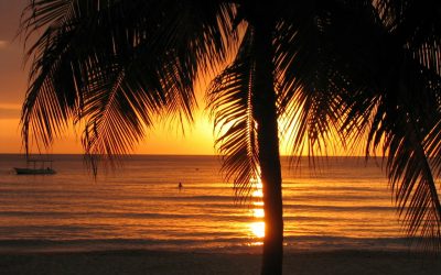 Couples Swept Away: Action and Romance in Jamaica