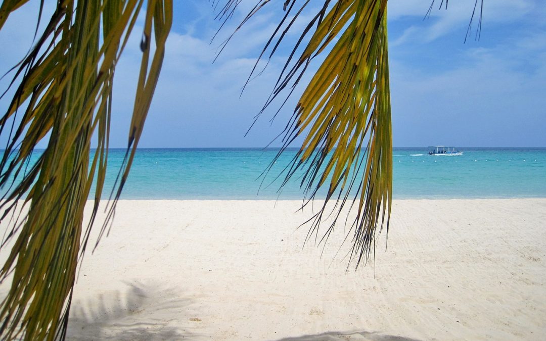 Everything You Need to Know About Grand Palladium Jamaica Resort and Spa