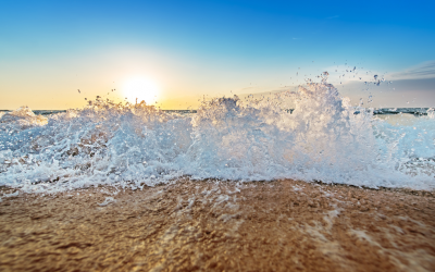 Be Amazed with Discovery Bay