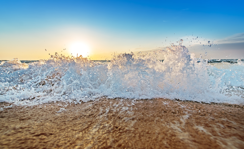 Be Amazed with Discovery Bay