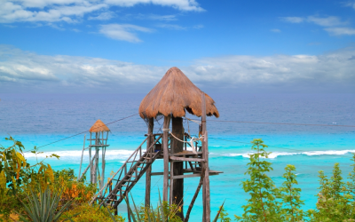 Mystic Mountain Reviews